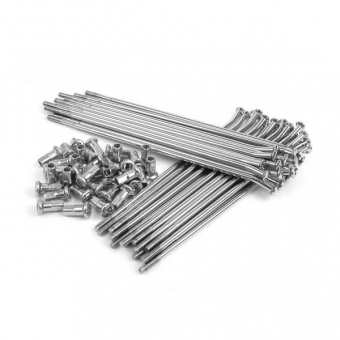 Jogo Raio Inox Dianteiro Moto Xt 600 Xt600E Raiação Reforçada